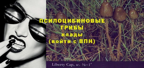 прущая мука Арсеньев