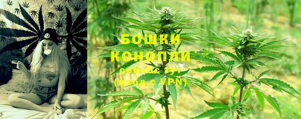 молекула духа Аркадак