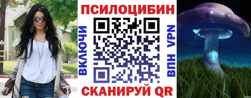 darknet как зайти  Певек  Псилоцибиновые грибы Cubensis 